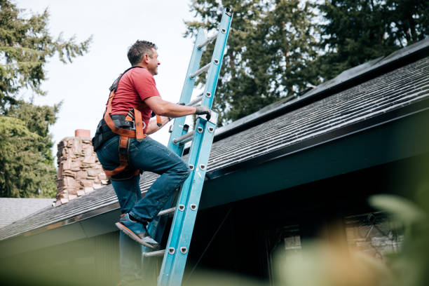 Best Roof Leak Repair  in Sterling, GA